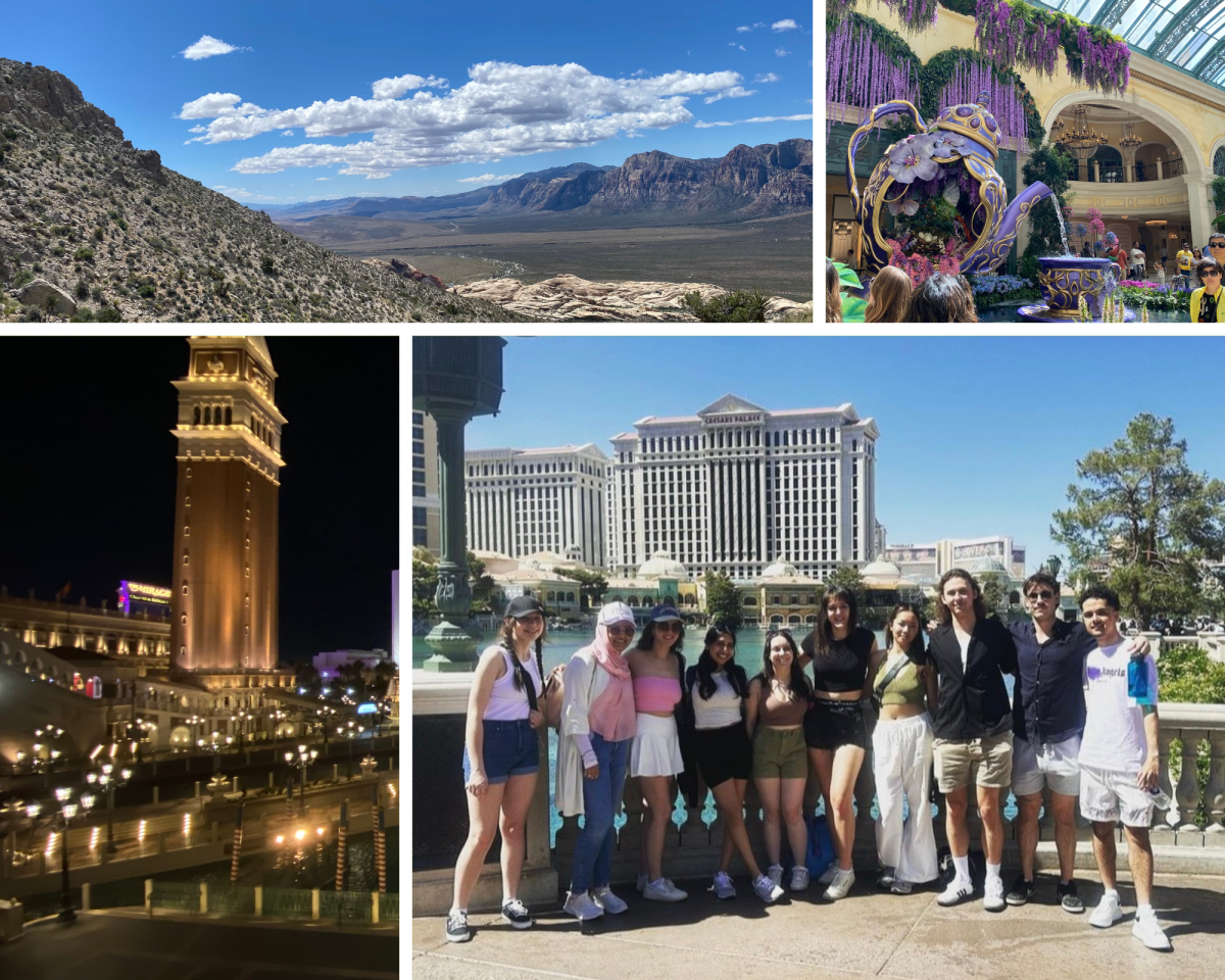 USA field school pictures - scenic view of mountains, architecture, disneyworld, a group of friends