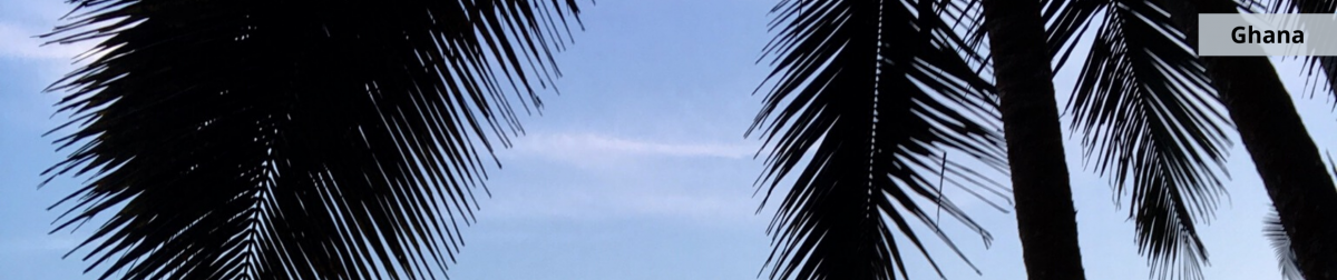 Ghana - palm trees and sky