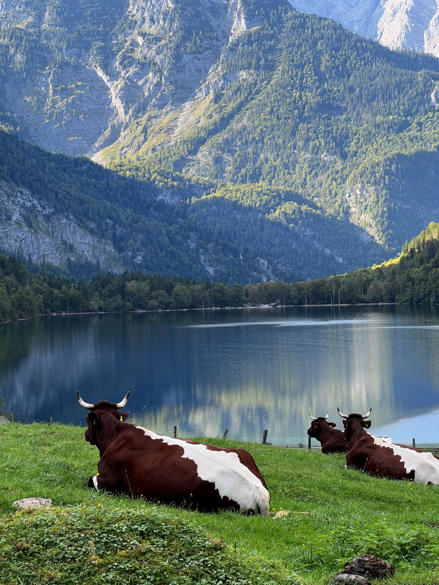 View of mountains in Germany