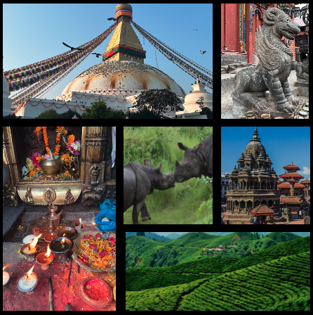 Pictures of landscapes, animals and temples in Nepal (decorative)