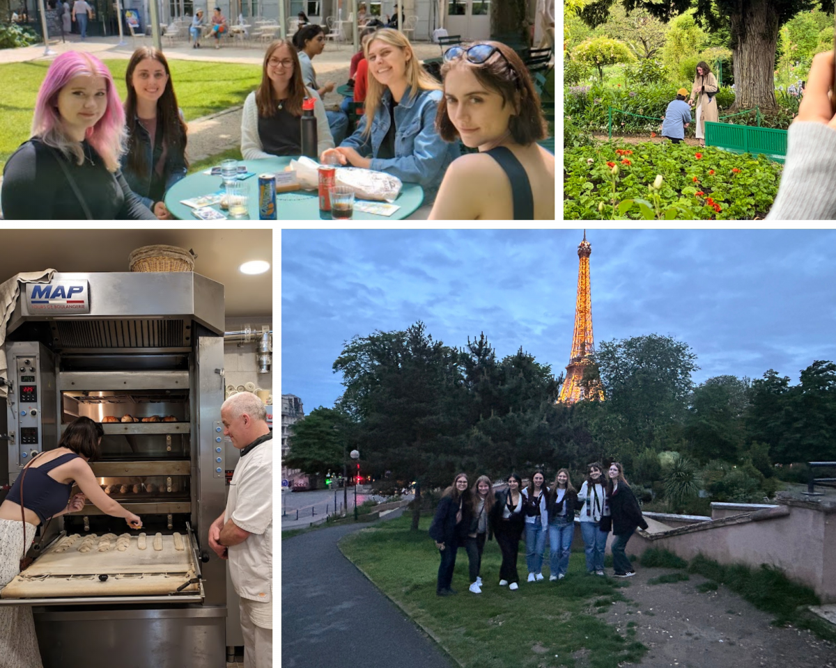 France field school pictures - a group of friends, learning to bake, a proposal