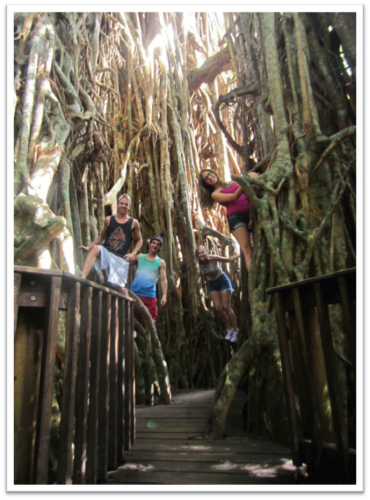 Image of four students standing the the trees 