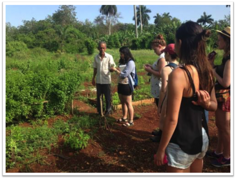 Students looking at a farm in Cuba